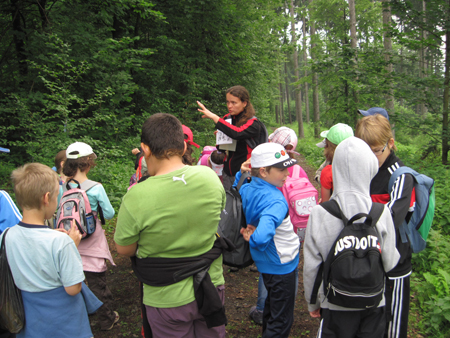 2AZalesnimistrasidylky (25)